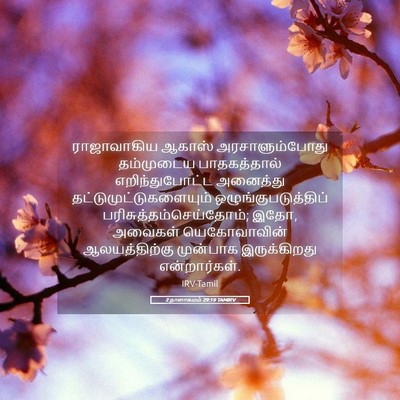 Picture 05 - 2 நாளாகமம் 29:19 TAMIRV - ராஜாவாகிய ஆகாஸ் - Bible Verse Picture