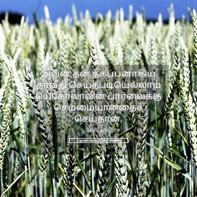 Picture 05 - 2 நாளாகமம் 29:2 TAMIRV - அவன் தன் - Bible Verse Picture