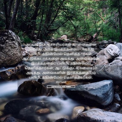 Picture 05 - 2 நாளாகமம் 29:22 TAMIRV - அப்படியே - Bible Verse Picture