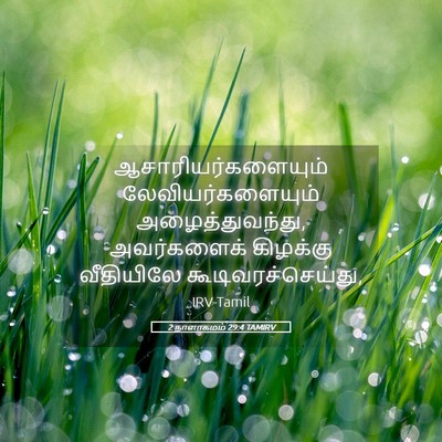 Picture 05 - 2 நாளாகமம் 29:4 TAMIRV - ஆசாரியர்களையும் - Bible Verse Picture