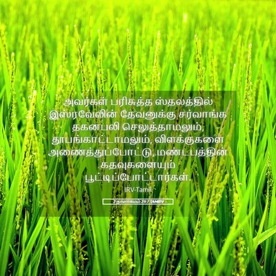 Picture 05 - 2 நாளாகமம் 29:7 TAMIRV - அவர்கள் பரிசுத்த - Bible Verse Picture