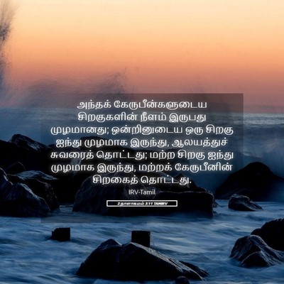 Picture 05 - 2 நாளாகமம் 3:11 TAMIRV - அந்தக் - Bible Verse Picture