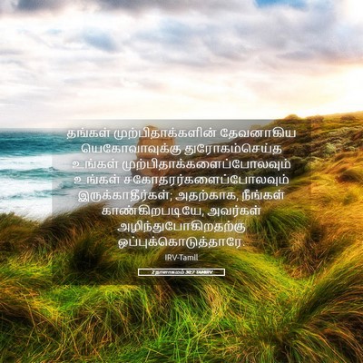 Picture 05 - 2 நாளாகமம் 30:7 TAMIRV - தங்கள் - Bible Verse Picture