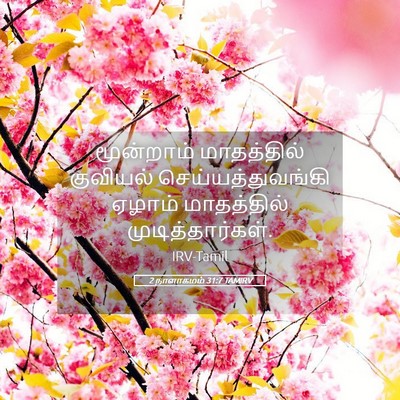 Picture 05 - 2 நாளாகமம் 31:7 TAMIRV - மூன்றாம் - Bible Verse Picture