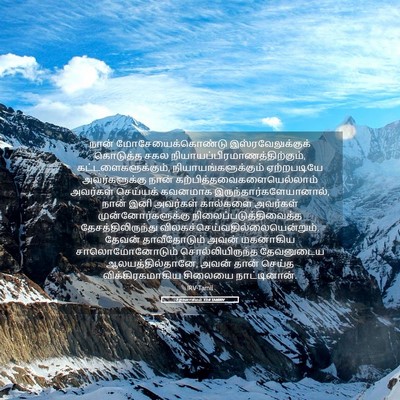 Picture 05 - 2 நாளாகமம் 33:8 TAMIRV - நான் - Bible Verse Picture