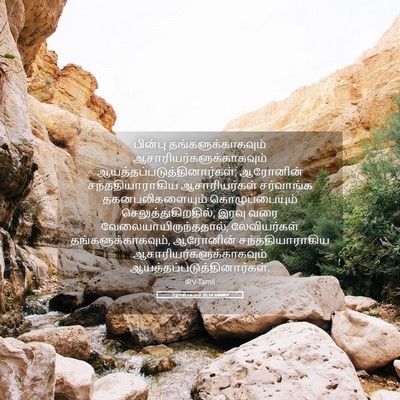 Picture 05 - 2 நாளாகமம் 35:14 TAMIRV - பின்பு - Bible Verse Picture