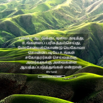 Picture 05 - 2 நாளாகமம் 35:6 TAMIRV - பஸ்கா - Bible Verse Picture