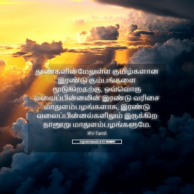 Picture 05 - 2 நாளாகமம் 4:13 TAMIRV - தூண்களின்மேலுள்ள - Bible Verse Picture