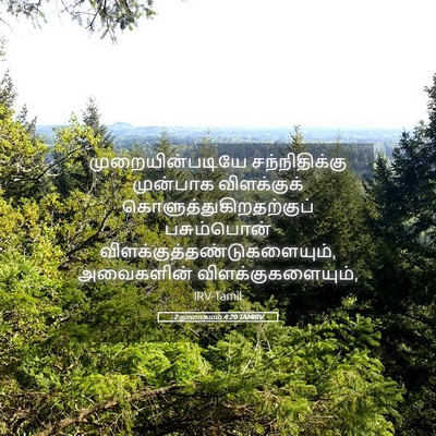 Picture 05 - 2 நாளாகமம் 4:20 TAMIRV - முறையின்படியே - Bible Verse Picture