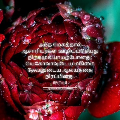 Picture 05 - 2 நாளாகமம் 5:14 TAMIRV - அந்த மேகத்தால் - Bible Verse Picture