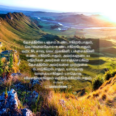 Picture 05 - 2 நாளாகமம் 6:28 TAMIRV - தேசத்திலே பஞ்சம் - Bible Verse Picture