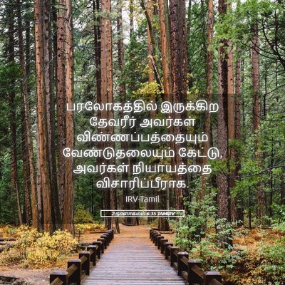 Picture 05 - 2 நாளாகமம் 6:35 TAMIRV - பரலோகத்தில் - Bible Verse Picture