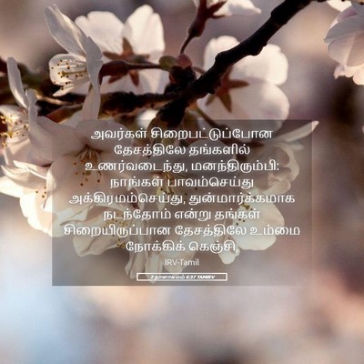 Picture 05 - 2 நாளாகமம் 6:37 TAMIRV - அவர்கள் - Bible Verse Picture