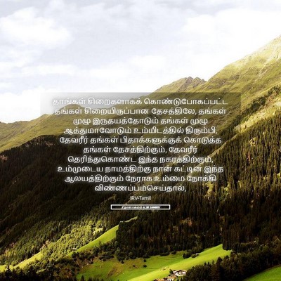Picture 05 - 2 நாளாகமம் 6:38 TAMIRV - தாங்கள் - Bible Verse Picture