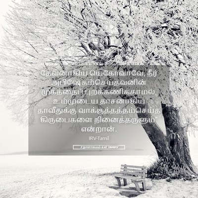 Picture 05 - 2 நாளாகமம் 6:42 TAMIRV - தேவனாகிய - Bible Verse Picture