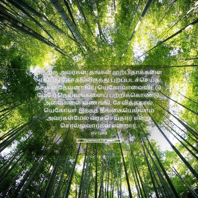 Picture 05 - 2 நாளாகமம் 7:22 TAMIRV - அதற்கு அவர்கள்: - Bible Verse Picture
