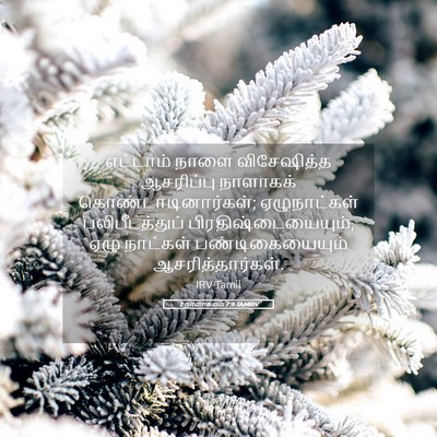 Picture 05 - 2 நாளாகமம் 7:9 TAMIRV - எட்டாம் நாளை - Bible Verse Picture