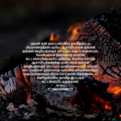 Picture 05 - 2 நாளாகமம் 8:14 TAMIRV - அவன் தன் - Bible Verse Picture