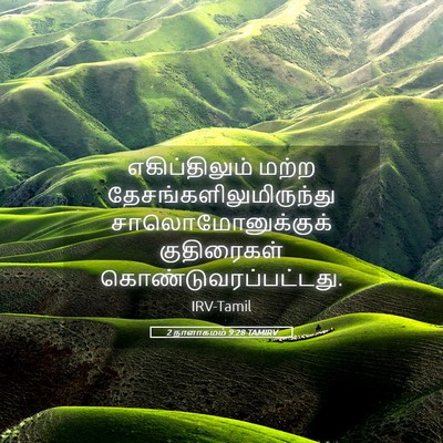 Picture 05 - 2 நாளாகமம் 9:28 TAMIRV - எகிப்திலும் மற்ற - Bible Verse Picture
