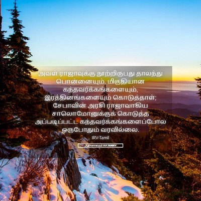 Picture 05 - 2 நாளாகமம் 9:9 TAMIRV - அவள் ராஜாவுக்கு - Bible Verse Picture