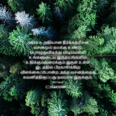 Picture 05 - 2 பேதுரு 1:19 TAMIRV - அதிக உறுதியான - Bible Verse Picture