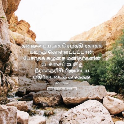 Picture 05 - 2 பேதுரு 2:16 TAMIRV - தன்னுடைய - Bible Verse Picture