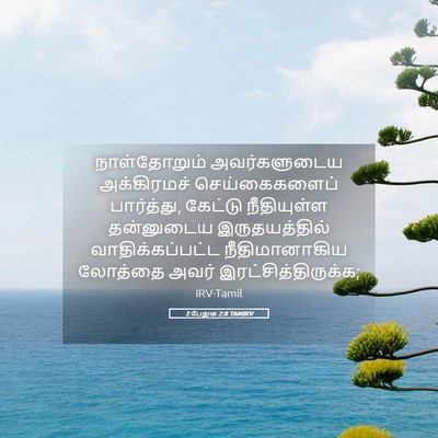 Picture 05 - 2 பேதுரு 2:8 TAMIRV - நாள்தோறும் - Bible Verse Picture