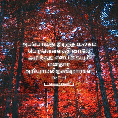 Picture 05 - 2 பேதுரு 3:6 TAMIRV - அப்பொழுது இருந்த - Bible Verse Picture