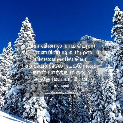 Picture 05 - 2 யோவான் 1:4 TAMIRV - பிதாவினால் நாம் - Bible Verse Picture