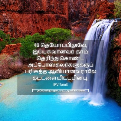 Picture 05 - அப்போஸ்தலருடைய நடபடிகள் 1:1 TAMIRV - 48 தெயோப்பிலுவே, - Bible Verse Picture