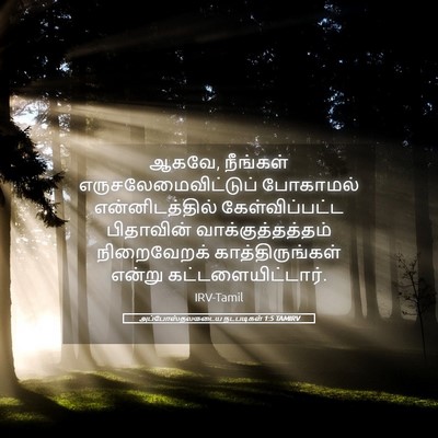 Picture 05 - அப்போஸ்தலருடைய நடபடிகள் 1:5 TAMIRV - ஆகவே, நீங்கள் - Bible Verse Picture