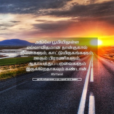 Picture 05 - அப்போஸ்தலருடைய நடபடிகள் 10:12 TAMIRV - அதிலே பூமியிலுள்ள - Bible Verse Picture