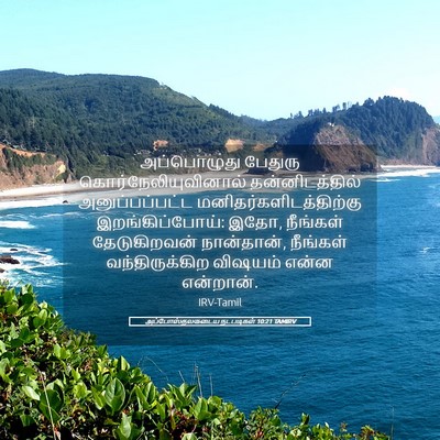 Picture 05 - அப்போஸ்தலருடைய நடபடிகள் 10:21 TAMIRV - அப்பொழுது பேதுரு - Bible Verse Picture