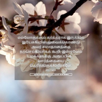 Picture 05 - அப்போஸ்தலருடைய நடபடிகள் 10:36 TAMIRV - எல்லோருக்கும் - Bible Verse Picture