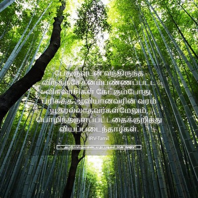 Picture 05 - அப்போஸ்தலருடைய நடபடிகள் 10:46 TAMIRV - பேதுருவுடன் - Bible Verse Picture
