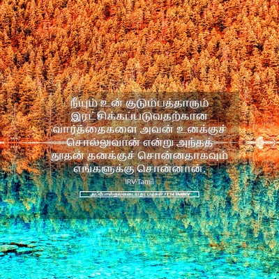 Picture 05 - அப்போஸ்தலருடைய நடபடிகள் 11:14 TAMIRV - நீயும் உன் - Bible Verse Picture