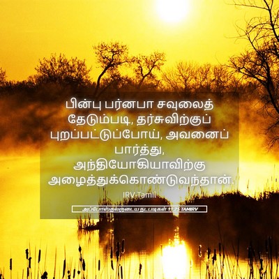 Picture 05 - அப்போஸ்தலருடைய நடபடிகள் 11:25 TAMIRV - பின்பு பர்னபா - Bible Verse Picture