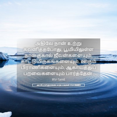 Picture 05 - அப்போஸ்தலருடைய நடபடிகள் 11:6 TAMIRV - அதிலே நான் உற்று - Bible Verse Picture