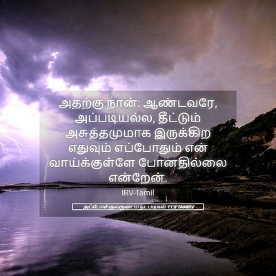 Picture 05 - அப்போஸ்தலருடைய நடபடிகள் 11:8 TAMIRV - அதற்கு நான்: - Bible Verse Picture