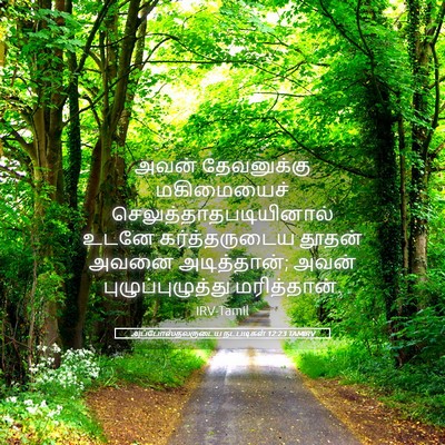 Picture 05 - அப்போஸ்தலருடைய நடபடிகள் 12:23 TAMIRV - அவன் தேவனுக்கு - Bible Verse Picture