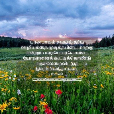 Picture 05 - அப்போஸ்தலருடைய நடபடிகள் 12:25 TAMIRV - பர்னபாவும் - Bible Verse Picture