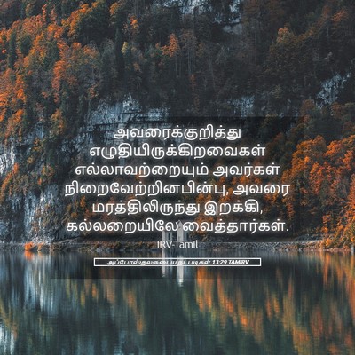 Picture 05 - அப்போஸ்தலருடைய நடபடிகள் 13:29 TAMIRV - அவரைக்குறித்து - Bible Verse Picture