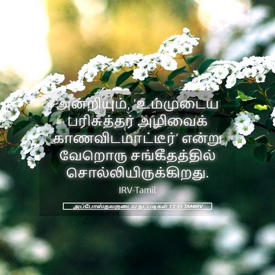 Picture 05 - அப்போஸ்தலருடைய நடபடிகள் 13:35 TAMIRV - அன்றியும், - Bible Verse Picture