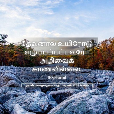 Picture 05 - அப்போஸ்தலருடைய நடபடிகள் 13:37 TAMIRV - தேவனால் உயிரோடு - Bible Verse Picture