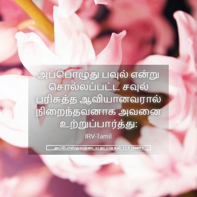 Picture 05 - அப்போஸ்தலருடைய நடபடிகள் 13:9 TAMIRV - அப்பொழுது பவுல் - Bible Verse Picture