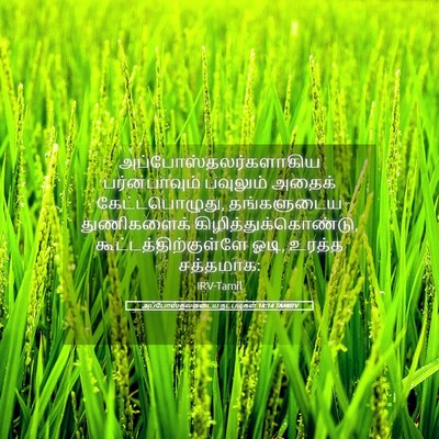 Picture 05 - அப்போஸ்தலருடைய நடபடிகள் 14:14 TAMIRV -  - Bible Verse Picture