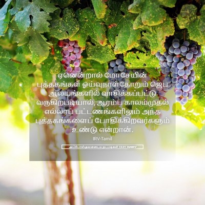 Picture 05 - அப்போஸ்தலருடைய நடபடிகள் 15:21 TAMIRV - ஏனென்றால் - Bible Verse Picture