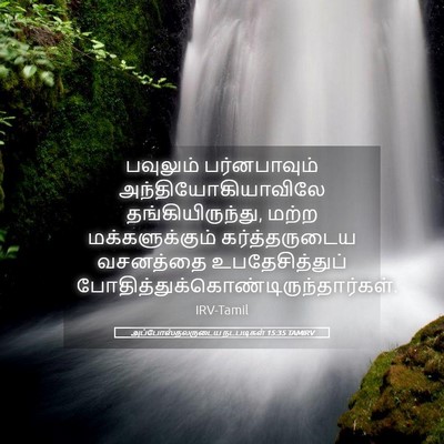 Picture 05 - அப்போஸ்தலருடைய நடபடிகள் 15:35 TAMIRV - பவுலும் - Bible Verse Picture