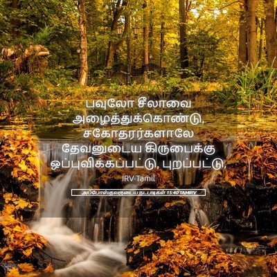 Picture 05 - அப்போஸ்தலருடைய நடபடிகள் 15:40 TAMIRV - பவுலோ சீலாவை - Bible Verse Picture