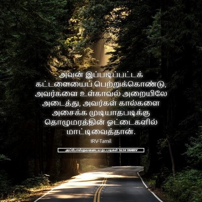 Picture 05 - அப்போஸ்தலருடைய நடபடிகள் 16:24 TAMIRV - அவன் - Bible Verse Picture